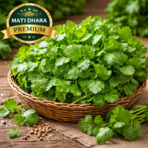 Coriander (धनिया)