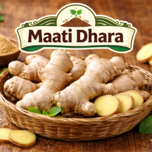 Ginger (अदरक)