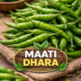 Green Chili (हरी मिर्च)