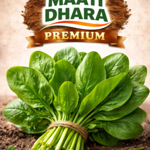 Spinach (पालक)