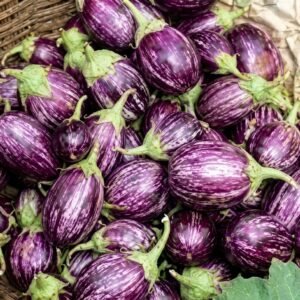 Thorny Brinjal (कांटे वाला देसी बैंगन )