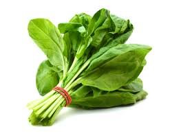 Spinach (पालक)