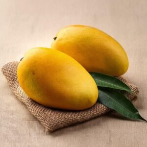 Mango Alphonso (आम)