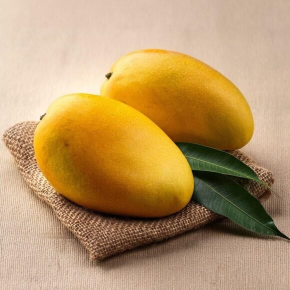 mango e1775462631198 580x580
