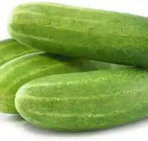 Cucumber Desi (खीरा)