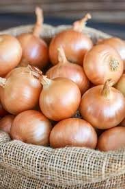 Onion Yellow